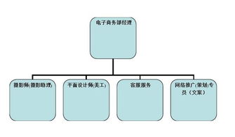 电子商务管理专业如何